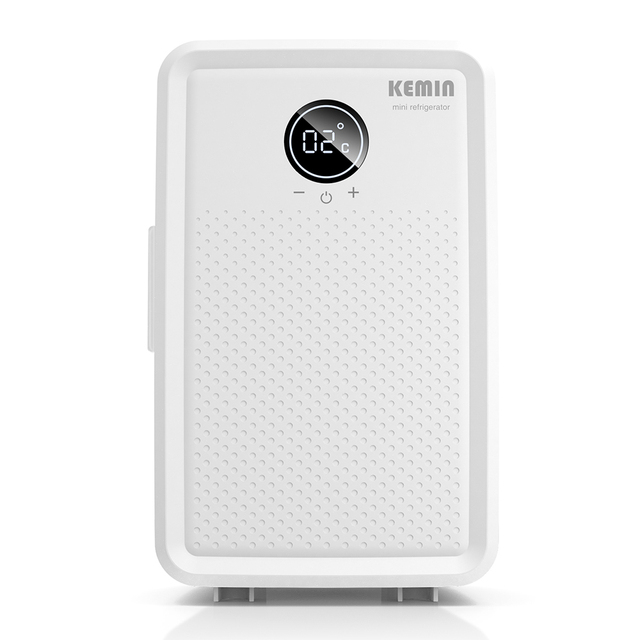 New Product 10L Small Refrigerator Makeup Mini Fridge Electricity Thermoelectric Cooler and Warmer Mini Fridge Refrigerator