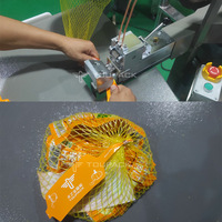 Machine à emballer semi-automatique de sac de maille de banane peseuse multitête de légume 14 têtes découpeuse de sac de maille de tomate de carotte