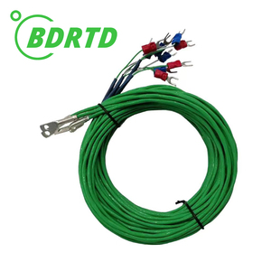 Độ chính xác cao cặp nhiệt điện (S/R/B/K/N/T/E/J) với đồng Lug cảm biến nhiệt độ nhiệt độ cao cặp nhiệt điện/cặp nhiệt điện dây - Product Image 5