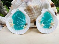 30 coquilles Saint-Jacques écologiques de 2-3 pouces, blanches naturelles, provenant de la plage, pour artisanat DIY et décoration intérieure