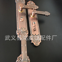 Poignée de porte silencieuse moderne et contemporaine en acier inoxydable 304, argentée, pour plaque de porte de 35-55 mm d'épaisseur, installation facile pour appartement
