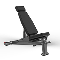 Banc de musculation commercial réglable personnalisable pour entraînement à haute/basse intensité