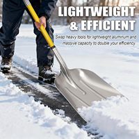 L'Europe et les États-Unis exportent de grandes pelles en aluminium, grandes pelles à charbon en aluminium, pelles à neige, pelles à dégivrer les voies, et des pelles à céréales.