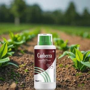 Fertilizante líquido orgánico Kabera, edulcorante <span class=keywords><strong>foliar</strong></span> de aminoácidos <span class=keywords><strong>para</strong></span> sandía, uva, fresa con ácido húmico EDTA - Product Image 3