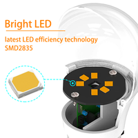 Ampoule LED A19 Dimmable et Réglable Worbest 800lm 9W Culot E26 Haute Fiabilité AC120V Homologuée UL/cUL