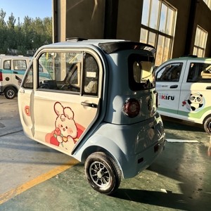 2024 New Model BrightGal 24V <b>2</b> <b>Passenger</b> Closed Mini Tricycle Brushless Motor 500W-800W Lead-acid Battery Disc Closed Three - Product Image 2