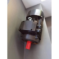 Moteur de pompe vertical triphasé YE3 100L-2 2900 tr/min Boîtier en aluminium Moteur à induction pour pompe à eau