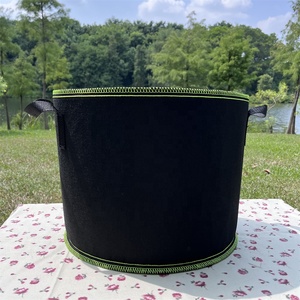 Bán buôn 6 PK phát triển dưa chuột cà rốt ớt gừng phát triển túi cho vườn - Product Image 3