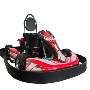 Precio de fábrica barato de alta calidad 1000W niños/adolescente velocidad rápida Go Karts caliente en venta