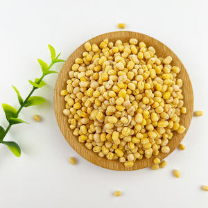 Venta al por mayor orgánico verde Mung Vigna frijoles tamaño grande 1000 kg suministro a granel de China frutos secos y frijoles para la venta - Product Image 1