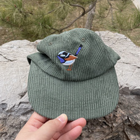 6-panel corduroy ongestructureerde petten, lage profiel petten met een licht gebogen klep