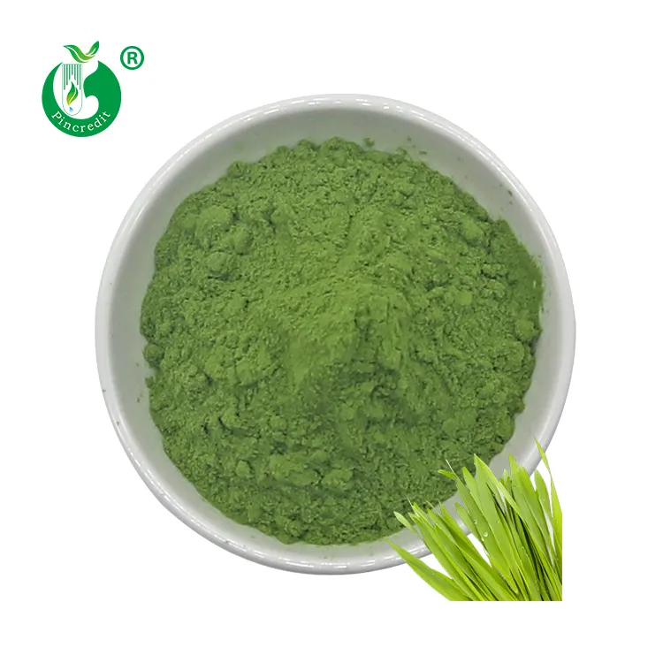 Wholesale Bulk Price Organic Natural Barley Grass Powder