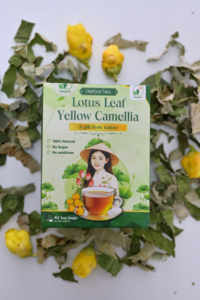 Mélange de tisanes premium avec feuilles de lotus et camélia jaune en sachets – Boisson saine séchée du Vietnam - Product Image 6