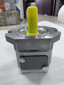 Bomba de Engranajes Internos Original y Nueva EIPC5-080RA23-10 890-EL-0800-RS2-C503 EIPC5-100RA23-10 - Product Image 3
