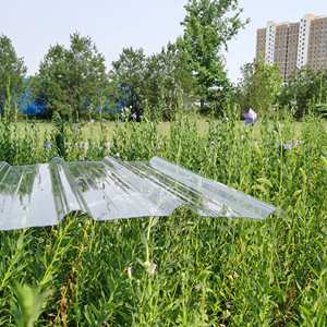 1.2mm 1.5mm Grosso Pc Ondulado Onda De Policarbonato Uv Plástico Claro Painéis De Coberturas Folha De Policarbonato Ondulado Flexível - Product Image 4