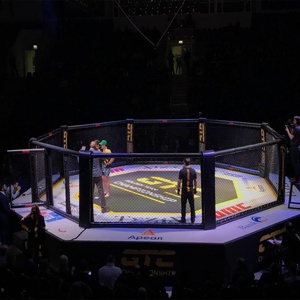 Jaula de Campeonato <span class=keywords><strong>UFC</strong></span> Elevada, Portátil, para Exteriores, Octagonal, para Entrenamiento de MMA, Personalizable, de Acero, para Boxeo y Artes Marciales - Product Image 3