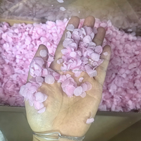 Pétales d'hortensia Anna sélectionnés à la main en gros, confettis de fleurs préservées, pétales de fleurs séchées blancs et roses pour mariage