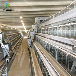 Yeni Çok Satan Otomatik 4 Katlı Tavuk Batarya Kafesleri Yumurtacı Tavuklar Paslanmaz Çelik 90-160 Kapasiteli Yumurta Üretim Ekipmanı ISO9001 - Product Image 5