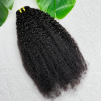 Lot de Cheveux Humains Bouclés Afro Crépus 4C en Gros – Fournisseurs de Bundles Afro Crépus 4C – Extensions de Cheveux Humains Afro Crépus 4C en Vrac, Cheveux Vierges Bruts