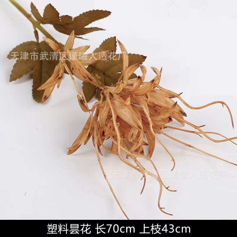 Épiphyllum simple