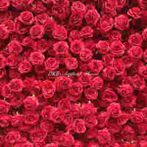 Arche en forme de cœur rouge en tissu de soie, fleurs artificielles, décoration de mariage, Thanksgiving, Pâques, couleurs personnalisables, vente en gros DKB - Product Image 6