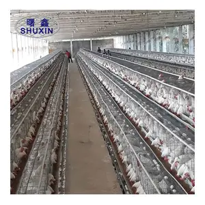 90-160鳥の卵層鶏ケージ産卵鶏Aタイプバッテリー層ケニアナイジェリア養鶏場低価格