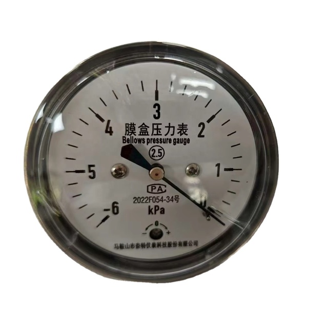 YE65 Capsule Pressure Gauge -6kPa to 0, Back Mounting for Air/Gas/Liquid Pressure Measurement
