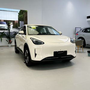 Новая звезда желает чистого электрического внедорожника мини-ев хэтчбек с 410 км дальностью полета 50-100 кВт Новый энергетический автомобиль AWD Auto - Product Image 4