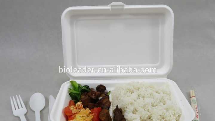 Sugarcane Bagasse 2 Compartment Food Container - Biodegradable