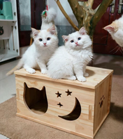 Lit pour chat et chien en bois massif semi-fermé, imperméable, toutes saisons, multifonctionnel, table basse de salon, maison pour chat