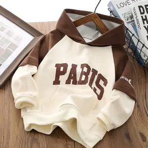 Children's hooded sweatshirt autumn and winter new color block boys' sports top long-sleeved letter pullover