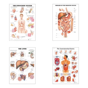 Póster de anatomía humana en inglés <span class=keywords><strong>con</strong></span> imagen/tamaño personalizado, póster artístico de pared en lienzo para aulas, hospitales, decoración del hogar, sin marco - Product Image 4