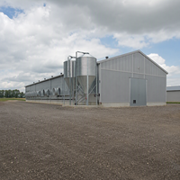 Bâtiment Agricole en Acier Sur Mesure Conforme CE – Meilleur Prix, Résistance à la Corrosion, Entrepôt Métallique, Atelier, Ferme