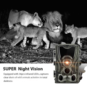 24MP 1080P tầm xa IR Night Vision Trail săn bắn máy ảnh wildcamera với nachtzicht động vật hoang dã Trail máy ảnh hc801a - Product Image 5
