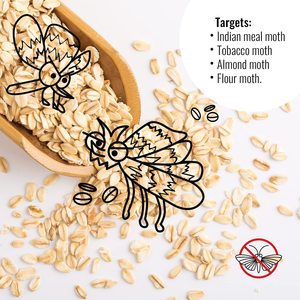 Pièges à mites pour la protection des vêtements, formule aux phéromones naturelles, inodores, sans danger pour les vêtements en <span class=keywords><strong>laine</strong></span> et en soie - Product Image 1