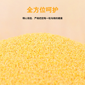 Alimentation pour oiseaux : Millet jaune décortiqué, haute valeur nutritive, pour moineaux de Java, perroquets, calopsittes, nourriture pour animaux de compagnie, écologique - Product Image 2