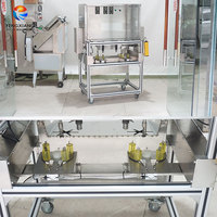 FENGXIANG Automatische Appel Schil-, Ontpit- en Snijmachine 380V RVS Fruitverwerkingsapparatuur Hoge Productiviteit