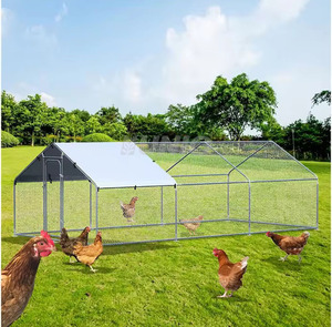 Poulet en forme de flèche robuste de haute qualité en plein air - Product Image 2