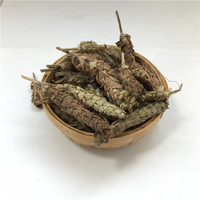 Thé de Prunella Vulgaris (Xia Ku Cao) en vrac/boîte/coupe – Spécialité de thé santé chinois