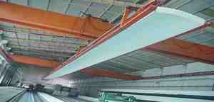 लंबी फोम ब्लॉक ले जाने क्रेन - Product Image 6