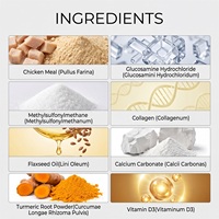 Poudre de supplément nutritionnel OEM pour articulations canines 150g – Soin articulaire pour animaux de compagnie – Maintient la mobilité et la santé des hanches – Vente directe usine