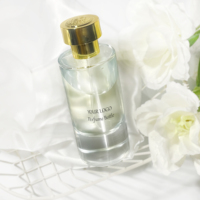 Vente en gros Nouveau design Flacon de parfum vide Vaporisateur Pompe Atomiseur Flacon de parfum 80ml Flacon de parfum de luxe