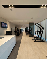 Tour de musculation commerciale ZY robuste avec station de tractions, station de dips et machine à soulever les genoux verticalement pour solutions de projets de salles de sport professionnelles