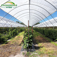 Serre tunnel agricole à voûte simple en film plastique pour la culture de fraises et de légumes
