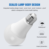 Ampoule LED Huahuang Workshop Factory 3W 5W 7W 9W 12W 15W 18W B22 E27 CRI 80 50000 heures