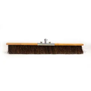 Eco-friendly Natural Garden Street Sweeping Hard Palm Bristle Strong Push Broom for Yard and Lobby