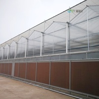 Serre agricole à double paroi à vendre, structure en acier galvanisé, panneaux en polycarbonate, serre commerciale pour l'agriculture