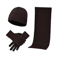 Ensemble de chapeau, écharpe et gants de mode en gros, faits à la main, couleurs variées, chauds, coupe-vent, promotionnels, hiver, unisexe, logo personnalisé