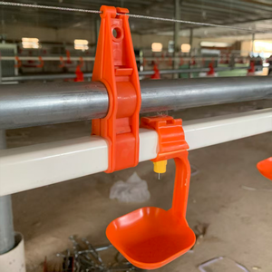 Comederos y Bebederos Automáticos de Plástico para Gallinas Ponedoras, Equipo de Línea de Alimentación Avícola en Estado Nuevo, para Granjas 1 - Product Image 4