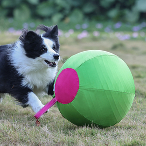 Juguetes para Perros DogLemi al por Mayor, Ecológicos, Modernos e Interactivos, Pelotas de Juguete para Perros, Cuerda de PVC+Poliéster, Pastoreo Australiano, Deporte Clásico para Mascotas - Product Image 3